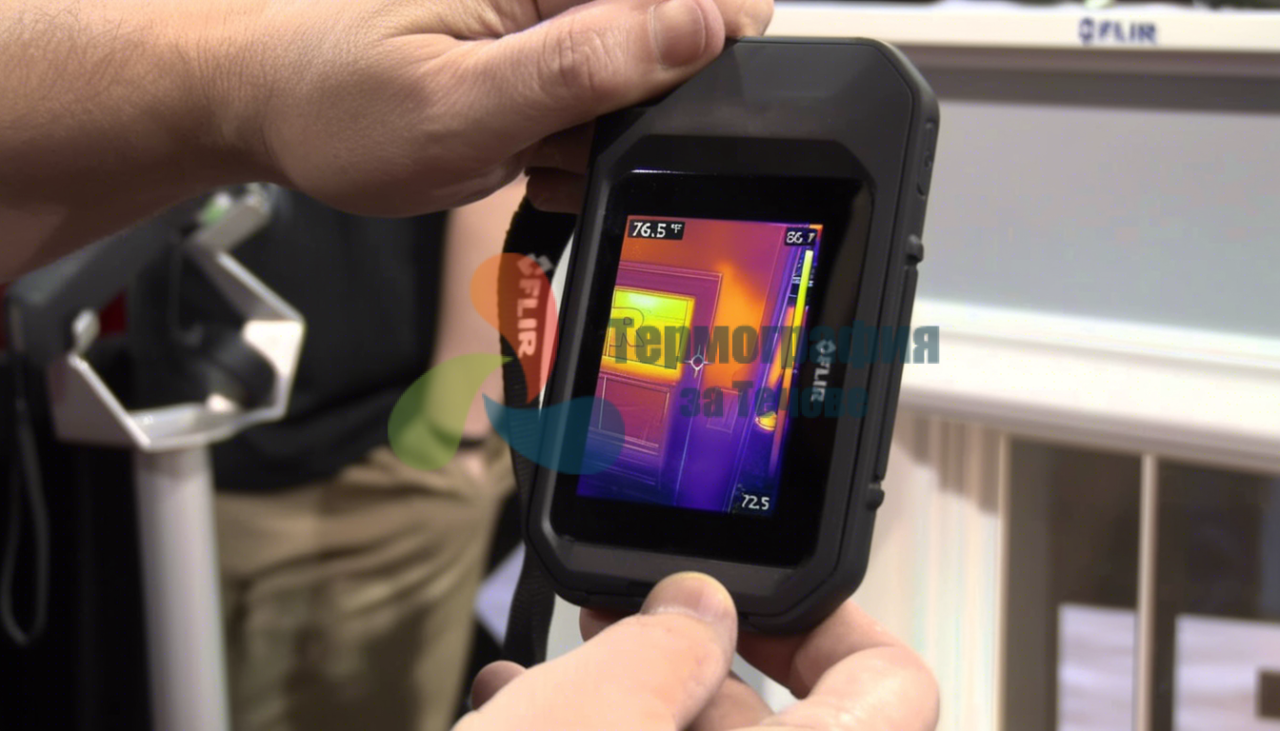 608555 Tranquil pond surrounded by tall trees with a bea xl 1024 v1 0 1 1