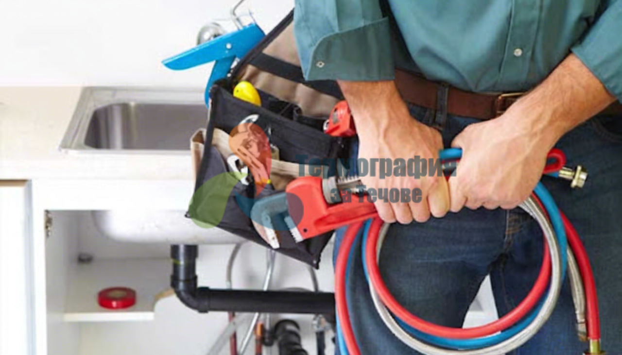 769734 Tranquil pond surrounded by tall trees with a bea xl 1024 v1 0